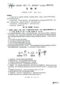 2026 届“贵百河一南宁二中、武鸣高中”8月高三上学期摸底考试生物试题（含答案）
