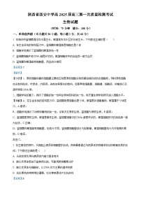 陕西省西安中学2024-2025学年高三上学期10月月考生物试题+答案