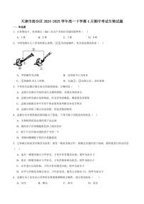 天津市部分区2024-2025学年高一下学期期中练习生物试卷（有答案）