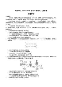 云南省玉溪第一中学2025-2026学年高二上学期开学考试生物试卷（Word版附答案）