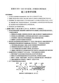 安徽省宣城市2024-2025学年高二下学期期末考试生物试题（PDF版附答案）