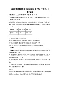 云南省楚雄彝族自治州2024-2025学年高一下学期5月期中生物试题（解析版）