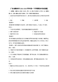【生物】广东省肇庆市2024-2025学年高一下学期期末考试试题（解析版）
