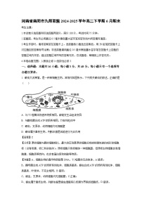 河南省南阳市九师联盟2024-2025学年高二下学期6月期末生物试题（解析版）