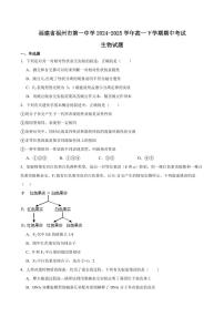 福建省福州第一中学2024-2025学年高一下学期期中考试生物试卷+答案