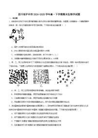 四川省泸州市2024-2025学年高一下学期期末统一考试生物试卷（有答案）含答案解析