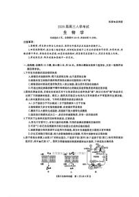 湖南省天壹名校联盟2026届高三上学期开学考试生物试题及答案