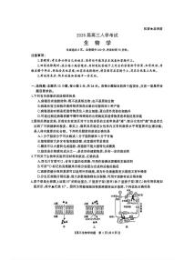 湖南省天壹名校联盟2026届高三上学期开学考试生物试题及答案