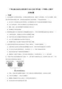 广西示范性高中2024-2025学年高一下学期4月期中考试生物试卷+答案