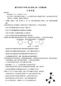重庆市南开中学2025-2026学年高三上学期8月开学考试生物试卷（Word版附答案）