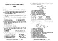内蒙古呼和浩特市2026届高三上学期9月第一次质量监测-生物试题+答案