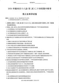 江西省赣州市十八县(市、区)二十四校2024-2025学年高三上学期期中考试生物试卷+答案