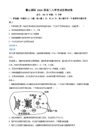 湖南省长沙市麓山国际实验学校2025-2026学年高三上学期入学考试生物试题（Word版附解析）