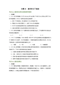 专题06 遗传的分子基础（全国通用）-【好题汇编】2025年高考生物真题分类汇编（原卷版+解析版）