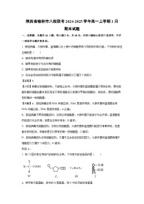 【生物】陕西省榆林市八校联考2024-2025学年高一上学期1月期末试题（解析版）
