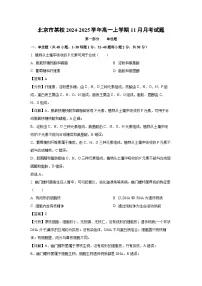 【生物】北京市某校2024-2025学年高一上学期11月月考试题（解析版）