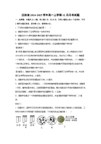 【生物】江西省2024-2025学年高一上学期12月月考试题（解析版）