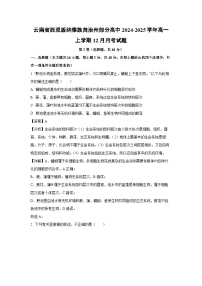 【生物】云南省西双版纳傣族自治州部分高中2024-2025学年高一上学期12月月考试题（解析版）