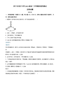 山东省济宁市育才中学2024-2025学年高二下学期开学考试生物试卷+解析