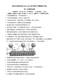 湖北省武汉外国语学校2023-2024学年高二下学期期末考试生物试卷