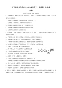 2025届河北省高三上学期质量检测二-生物试卷（含答案）