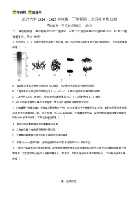 湖北省武汉市第六中学2024-2025学年高一下学期3月月考生物试卷