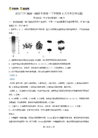 湖北省武汉市第六中学2024-2025学年高一下学期3月月考生物试卷+解析