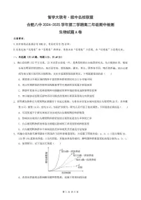 安徽省智学大联考皖中名校联盟合肥市第八中学2024-2025学年高二下学期期中检测生物试题（含答案）