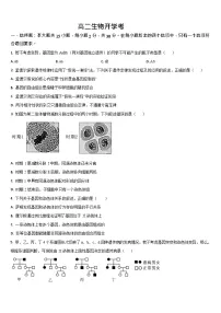 吉林省通化市梅河口市第五中学2025-2026学年高二上学期开学考试生物试卷