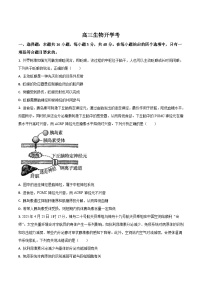 吉林省梅河口市第五中学2026届高三上学期开学考试生物试卷（Word版附答案）