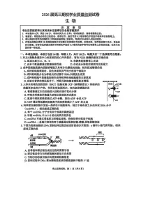 江苏省南通市海安市2026届高三上学期期初学业质量监测生物试卷（PDF版附答案）