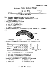 2025北京八十中高三上9月月考生物试卷
