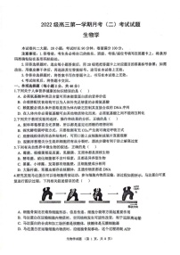 2025届陕西省西安市高三下学期11月一模考-生物试卷（含答案）