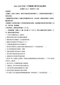 河北省衡水市2024-2025学年高二下学期期中考试生物试题（含答案）