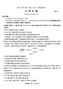 2025届重庆市南开中学高三下学期11月第三次质量检测-生物试卷（含答案）
