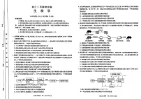 2025届湖北省鄂东新领先协作体高三下学期2月调考生物试卷