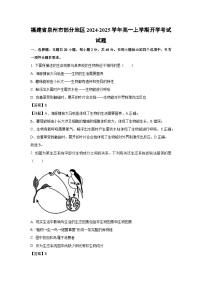 福建省泉州市部分地区2024-2025学年高一上学期开学考试生物试卷（解析版）