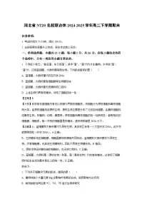 河北省NT20名校联合体2024-2025学年高二下学期7月期末生物试卷（解析版）