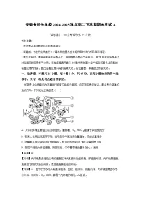 安徽省部分学校2024-2025学年高二下学期期末考试生物A生物试卷（解析版）