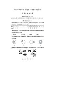 山西省太原市2024-2025学年高一上学期期末考试生物试卷+答案