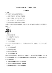 辽宁省点石联考2025-2026学年高二上学期9月联合考试生物试题（Word版附答案）