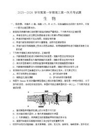 海南省文昌中学2025-2026学年高三上学期第一次月考生物试卷