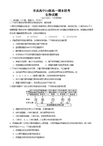 四川省眉山市2024-2025学年高一上学期1月期末联考试题生物试卷