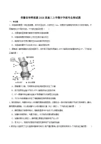 2026安徽省华师联盟高三上学期9月开学联考试题生物含答案