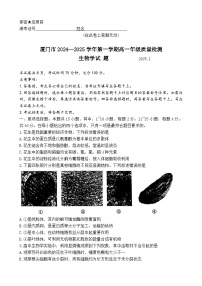 福建省厦门市2024-2025学年高一上学期1月期末生物试题