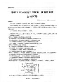 河北省邯郸市2025-2026学年高三上学期第一次调研监测生物试卷
