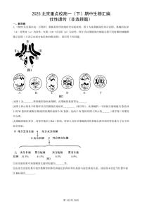 2025北京重点校高一（下）期中生物汇编(试题)：伴性遗传（非选择题） 有答案解析