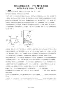 2025北京重点校高一（下）期中生物汇编(试题)：基因的本质章节综合（非选择题） 有答案解析