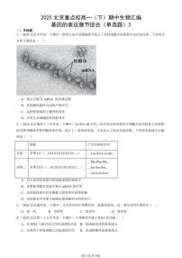 2025北京重点校高一（下）期中生物汇编(试题)：基因的表达章节综合（单选题）3 有答案解析