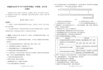 云南省昭通市市直中学2024-2025学年高二下学期3月第一次月考生物试卷+答案